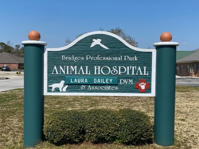 Veterinarian in Morehead City, NC | Bridges Professional Park Animal  Hospital