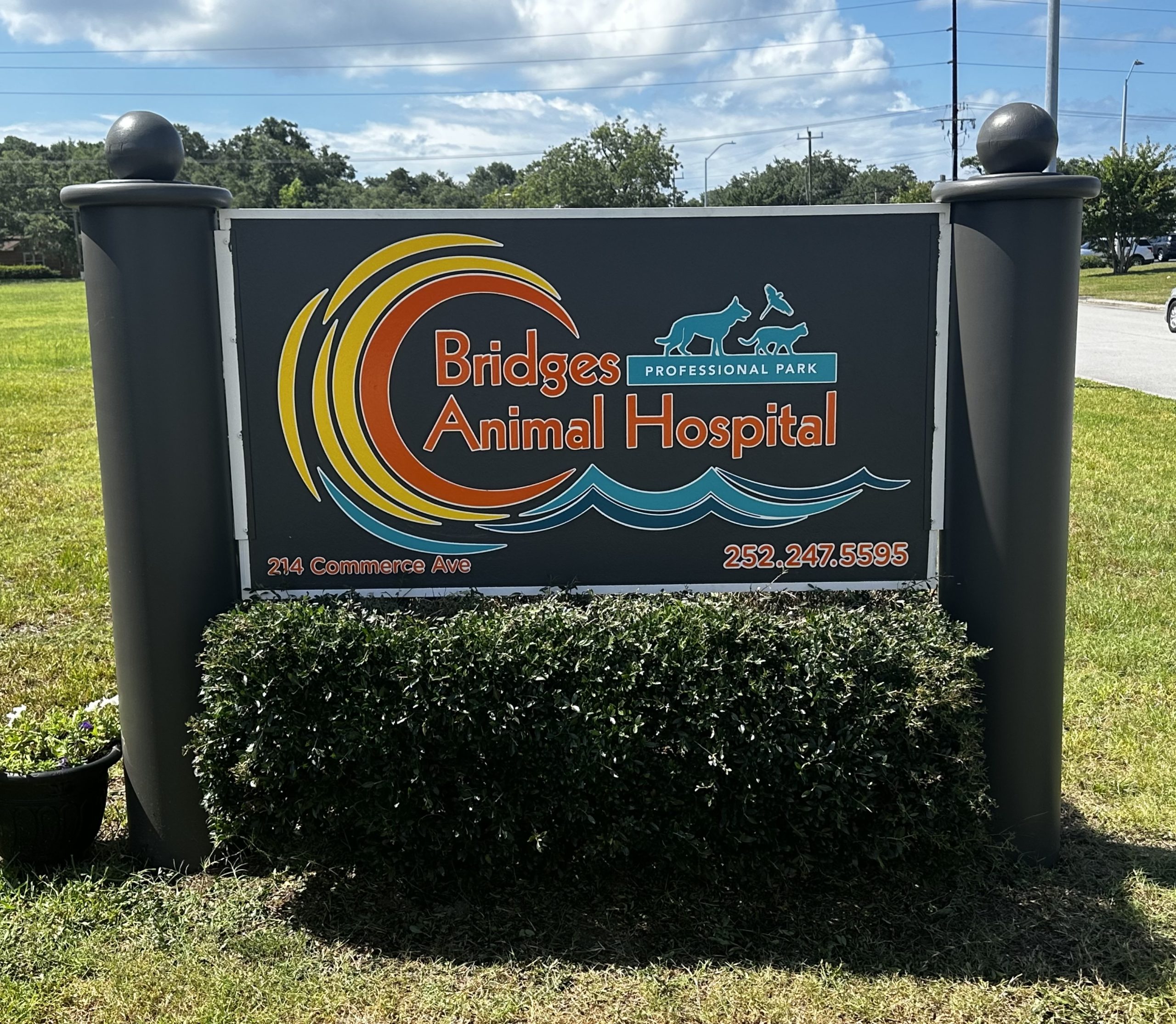 Veterinarian in Morehead City, NC